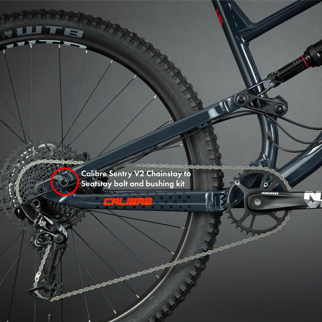 Sentry V2 Chainstay to Seatstay Bolt and Bushing Kit