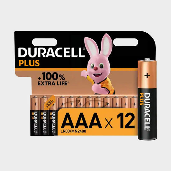 AAA Plus 100 Batteries (12 pack)
