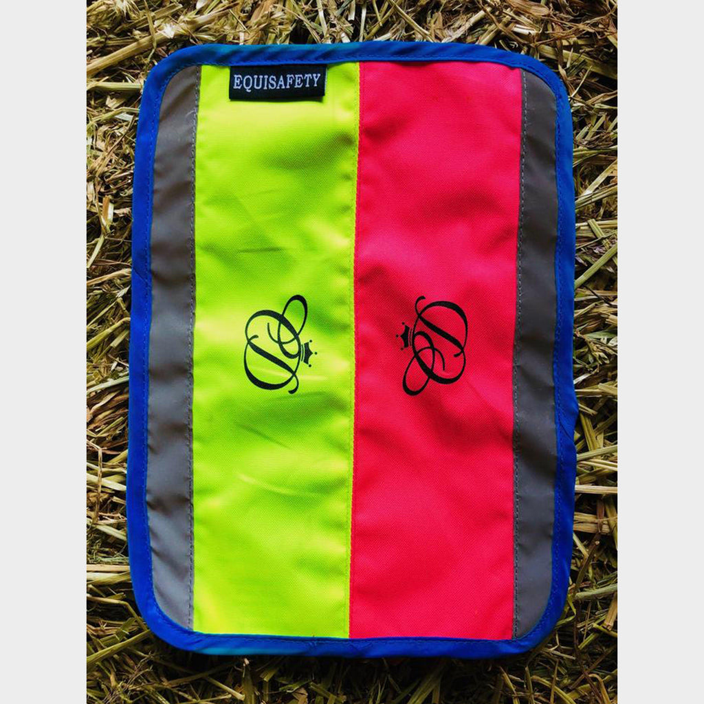 Charlotte Dujardin Multi-Coloured Nose Band Pink/Yellow