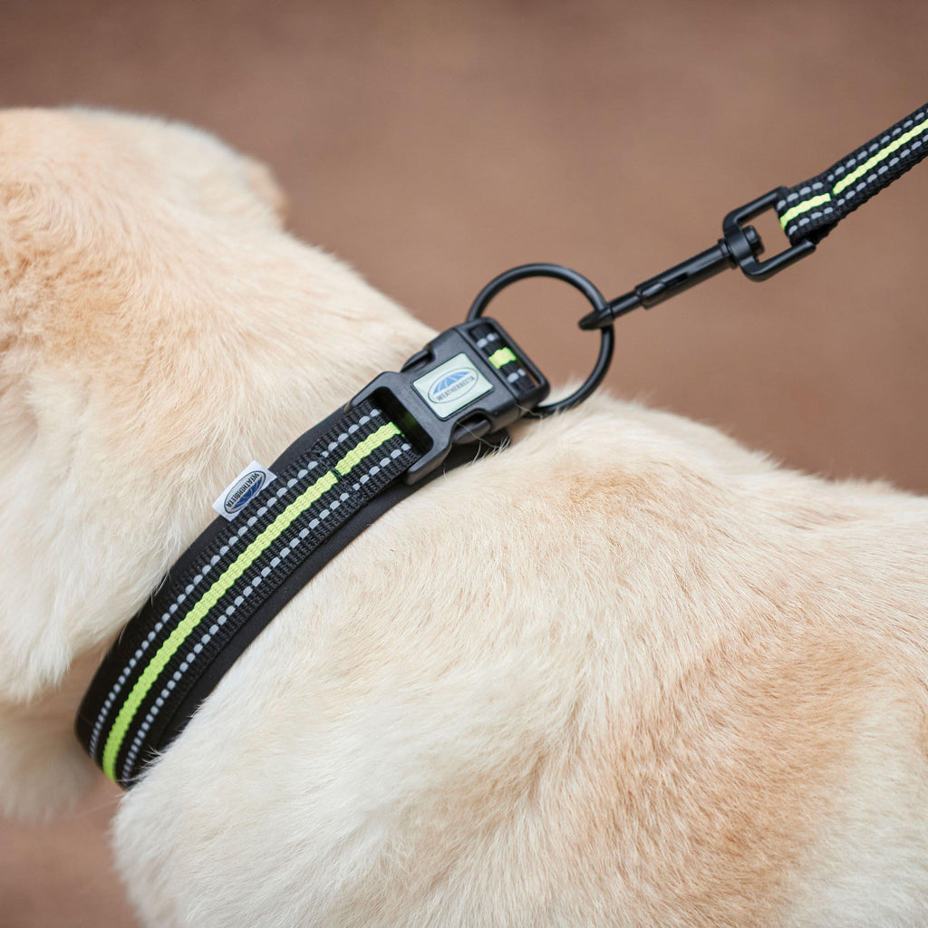 Reflective Dog Collar Extra Large