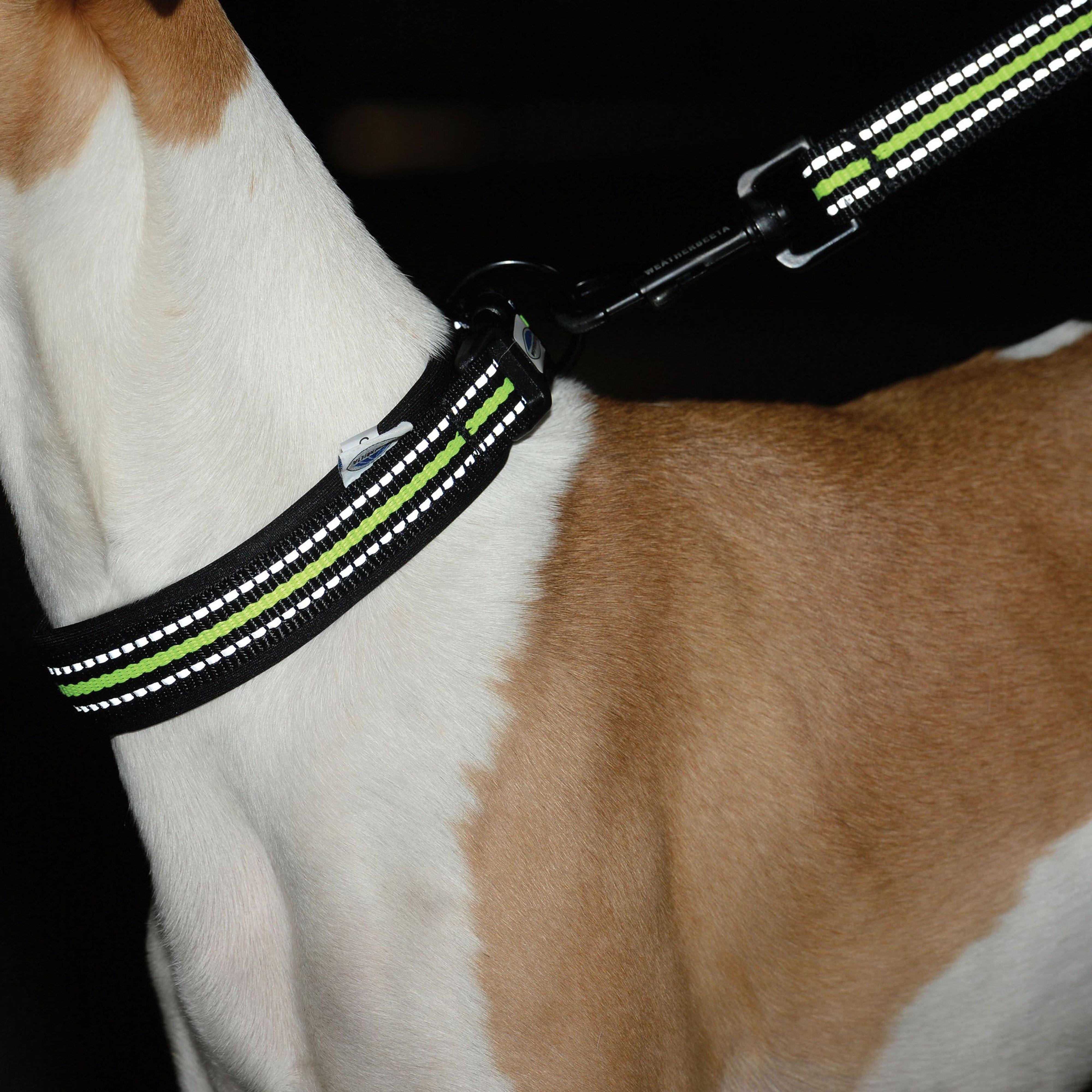 Reflective Dog Collar Extra Large