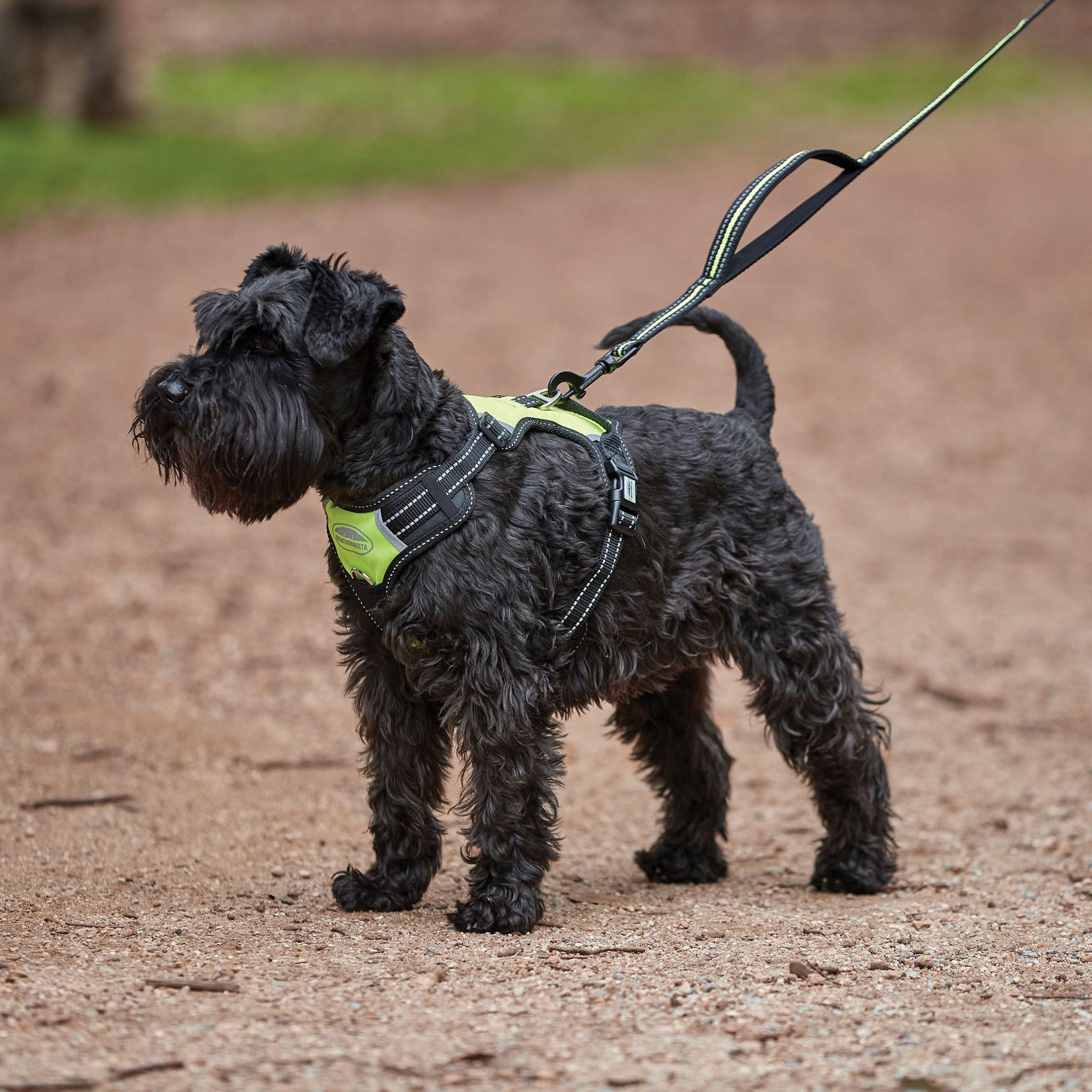 Anti-Pull/Travel Dog Harness (Large)