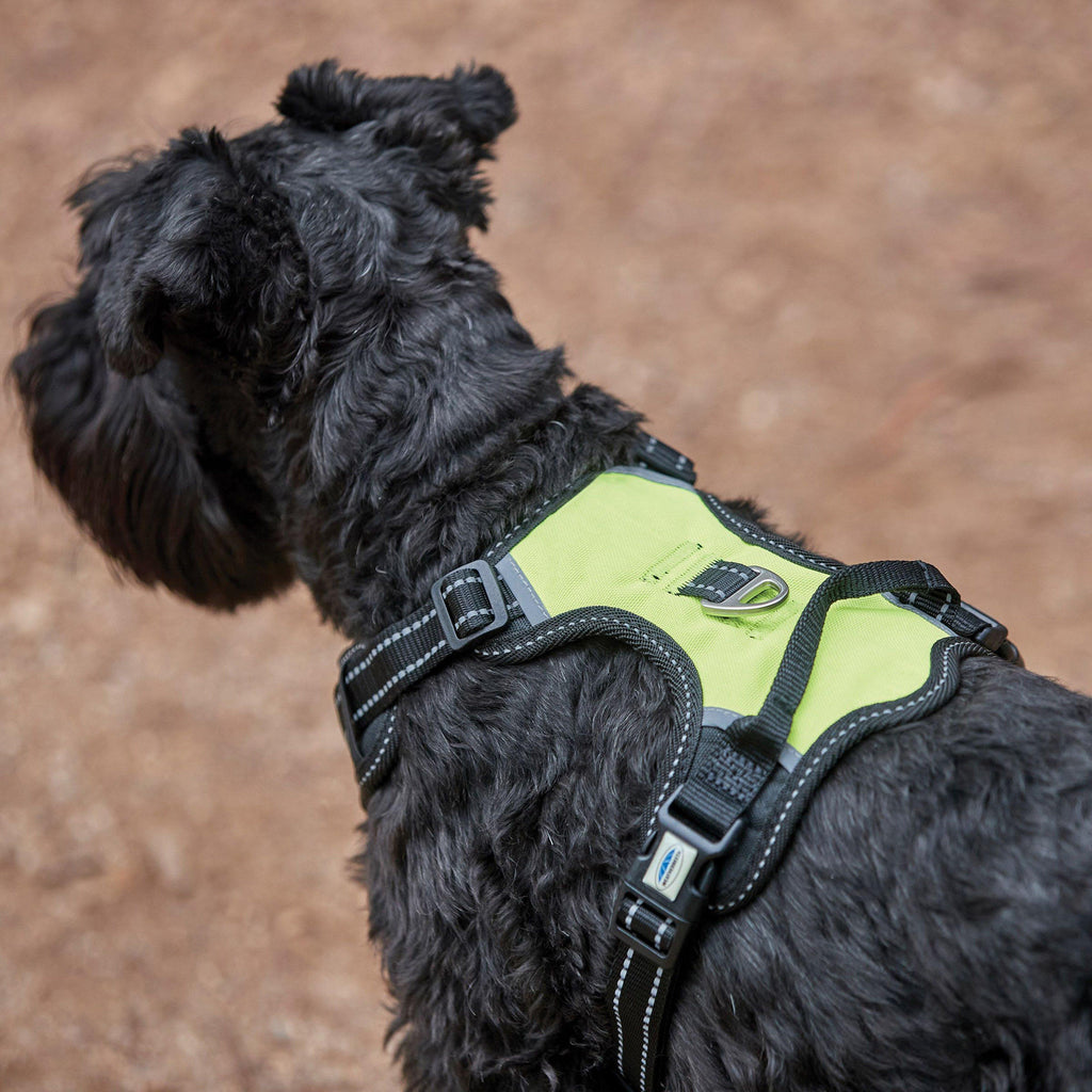 Anti-Pull/Travel Dog Harness (Large)