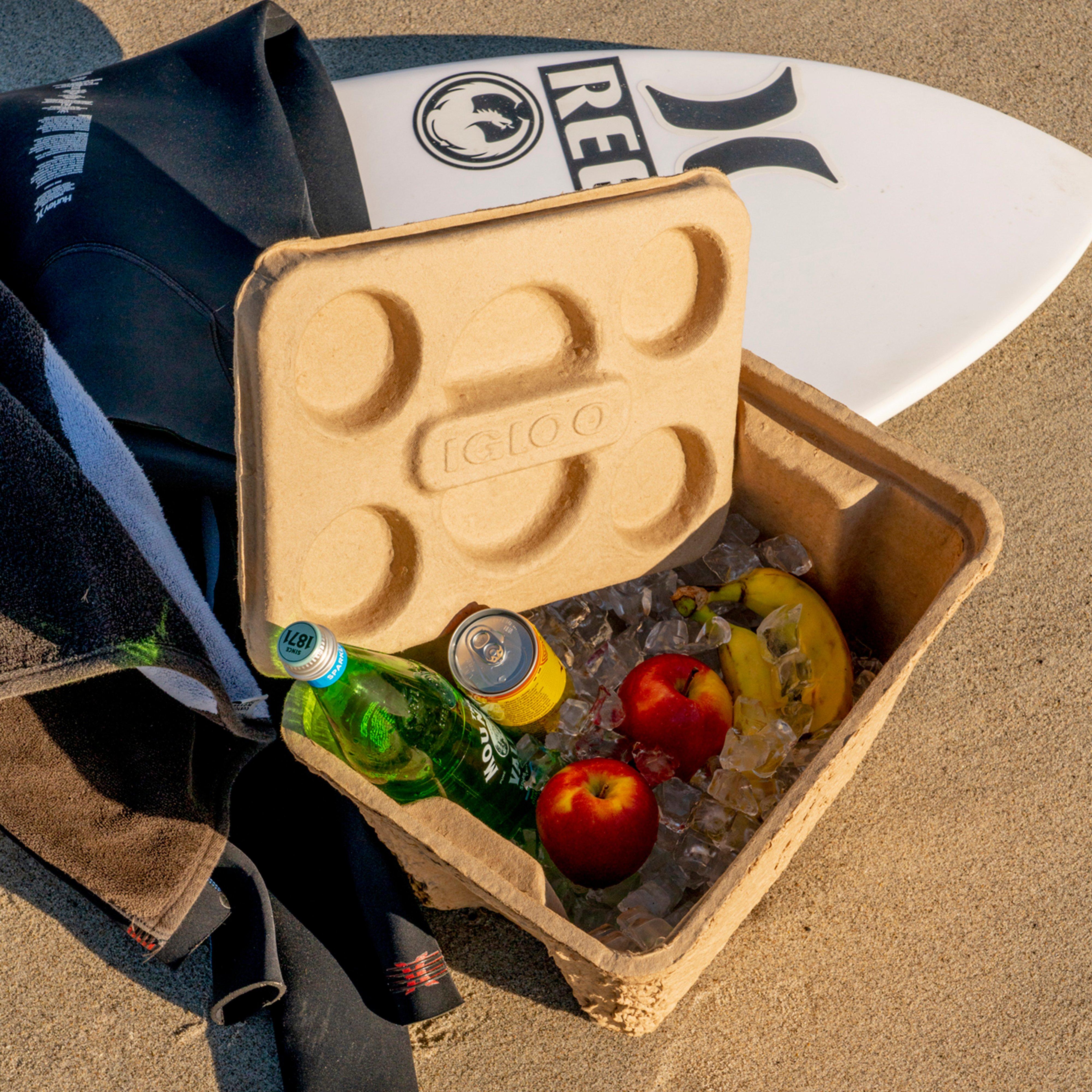 RECOOL Biodegradable Cooler