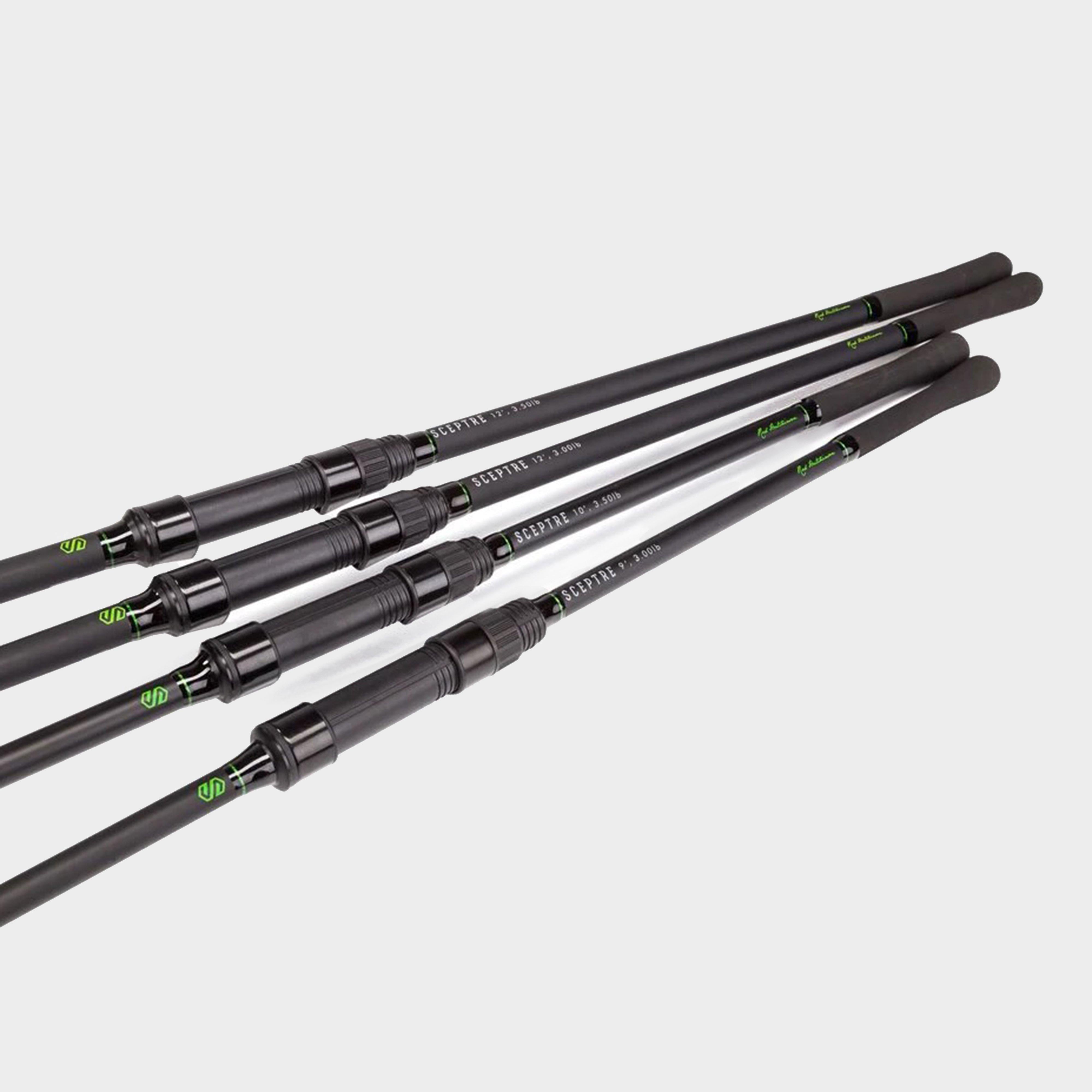 Sceptre Rod 12ft (3lb)