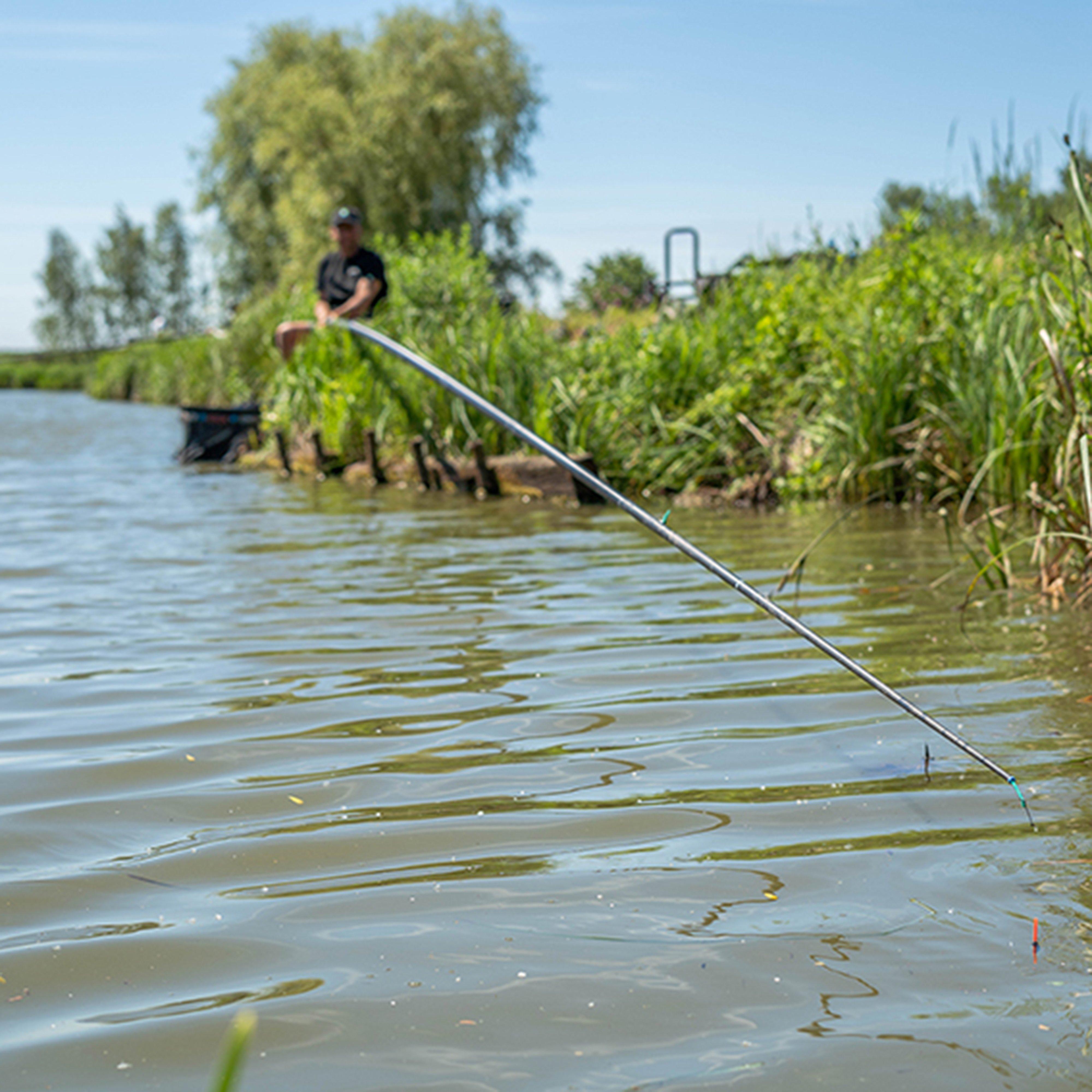 Silver Preston Innovation Superium Carp 16m Fishing Pole – GO Outdoors