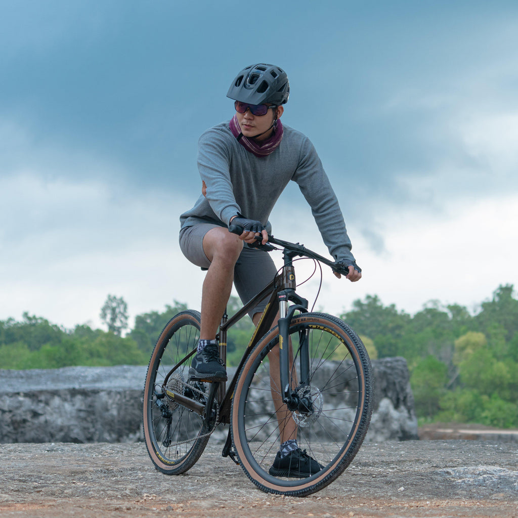 Heist X7 Urban Bike