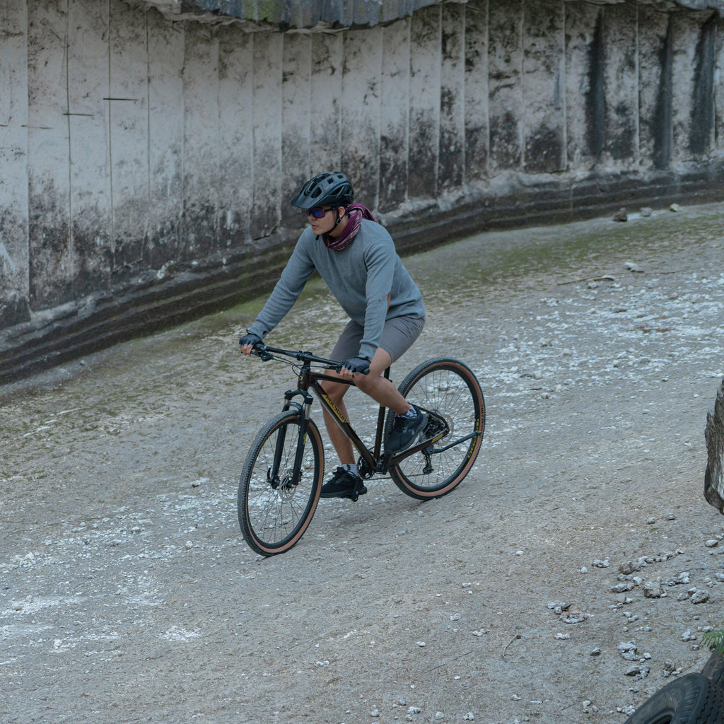 Heist X7 Urban Bike