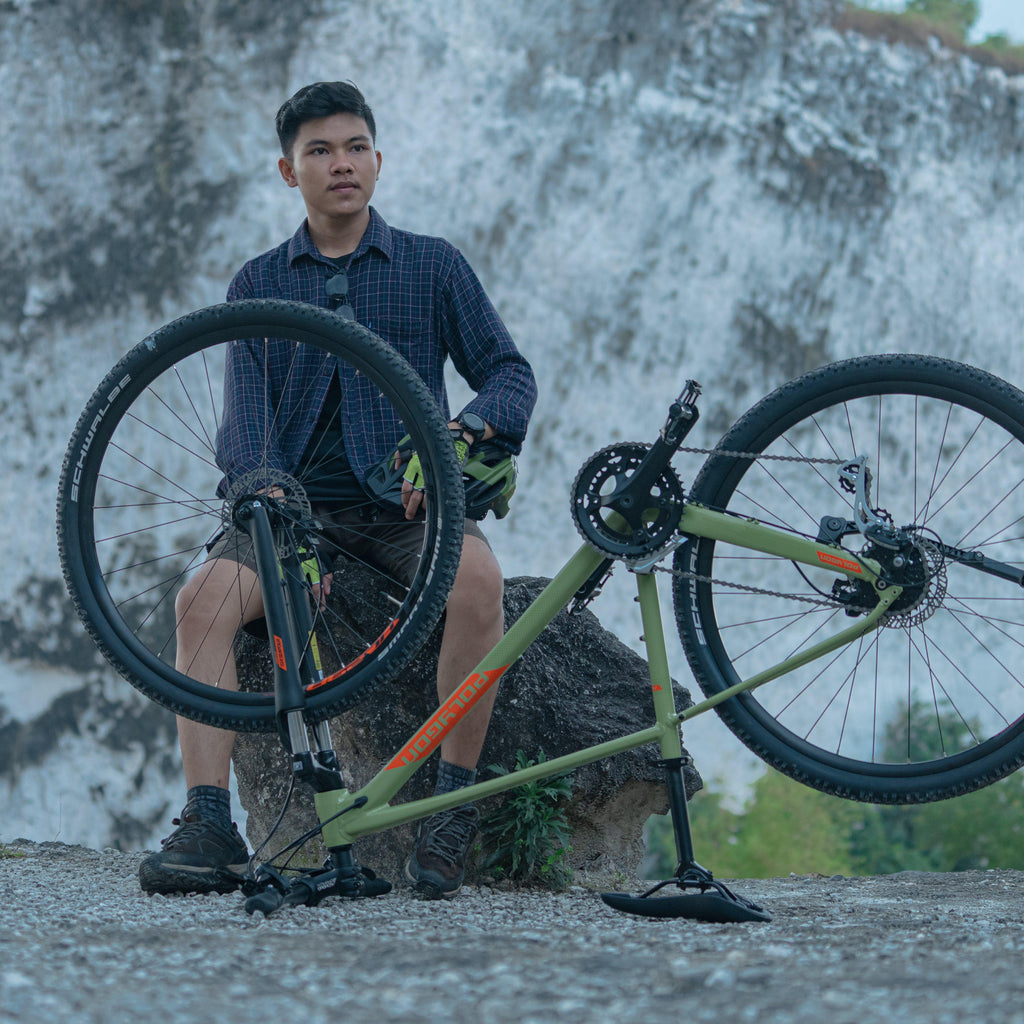 Heist X2 Urban Bike