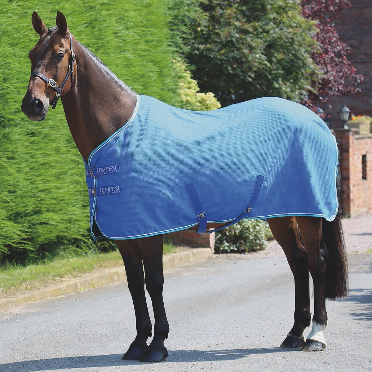 Tempest Original Waffle Rug