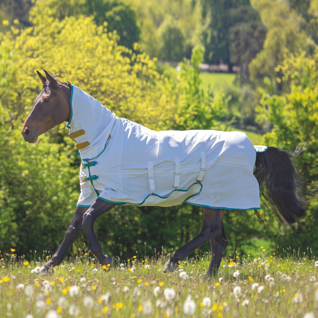 Tempest Plus Sweet-itch Combo Rug