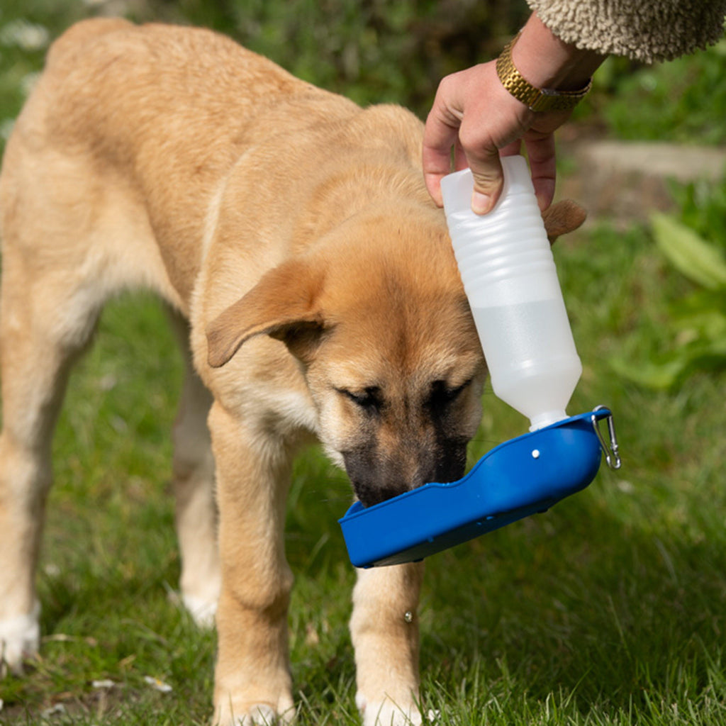 Outdoor Paws Travel Water Bottle