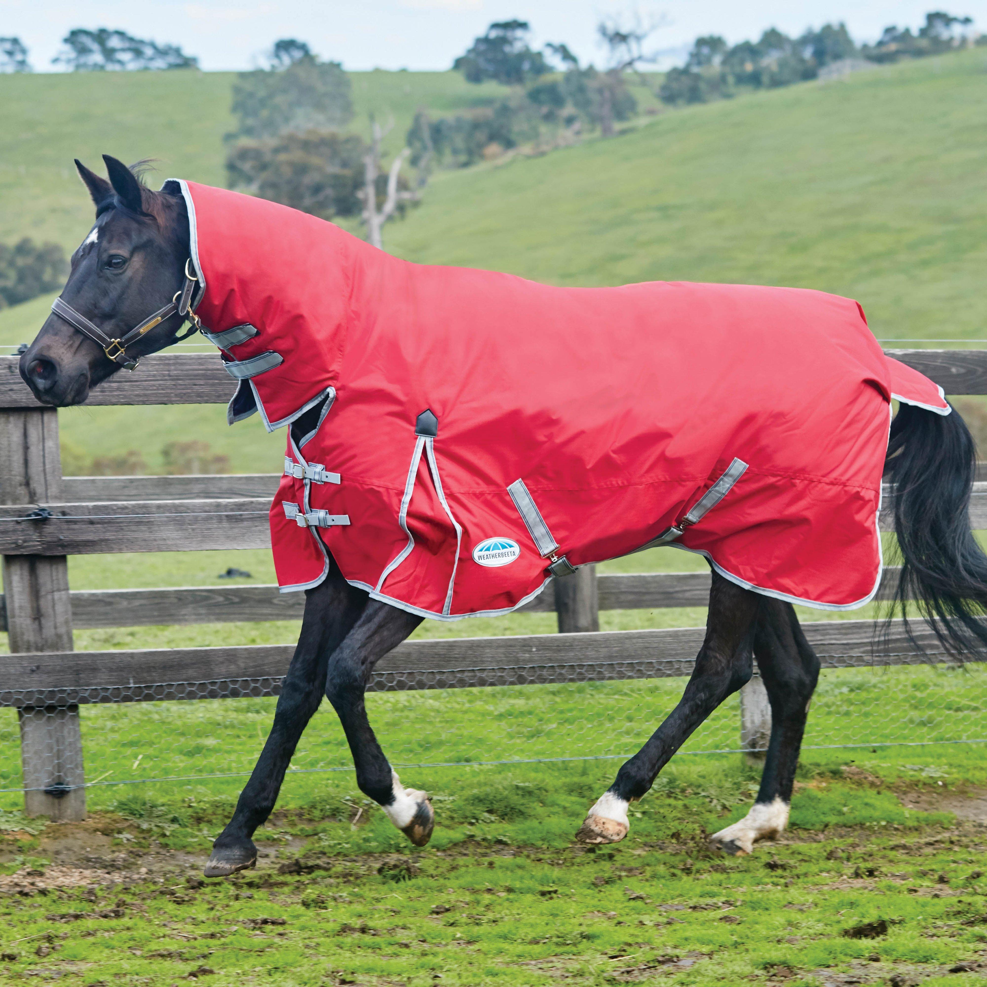 ComFiTec Classic Combo Neck 220g Medium Weight Turnout Rug
