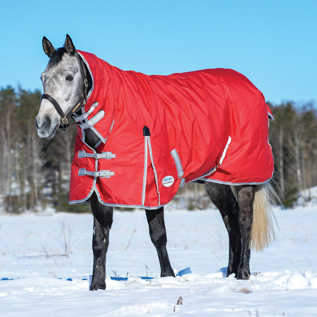 ComFiTec Classic Combo Neck 220g Medium Weight Turnout Rug