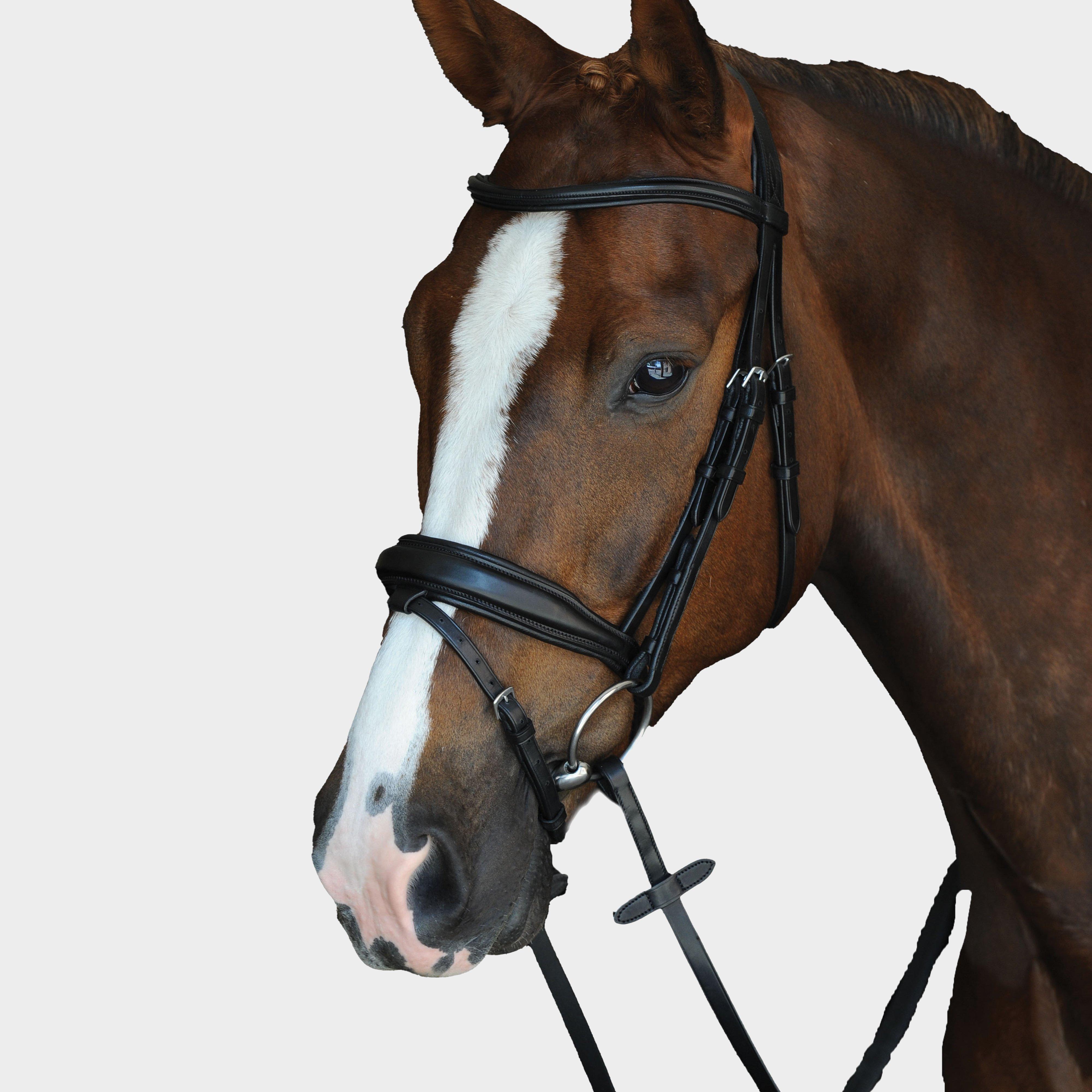 Mono Crown Padded Raised Flash Bridle Black