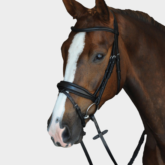 Mono Crown Padded Raised Flash Bridle Black