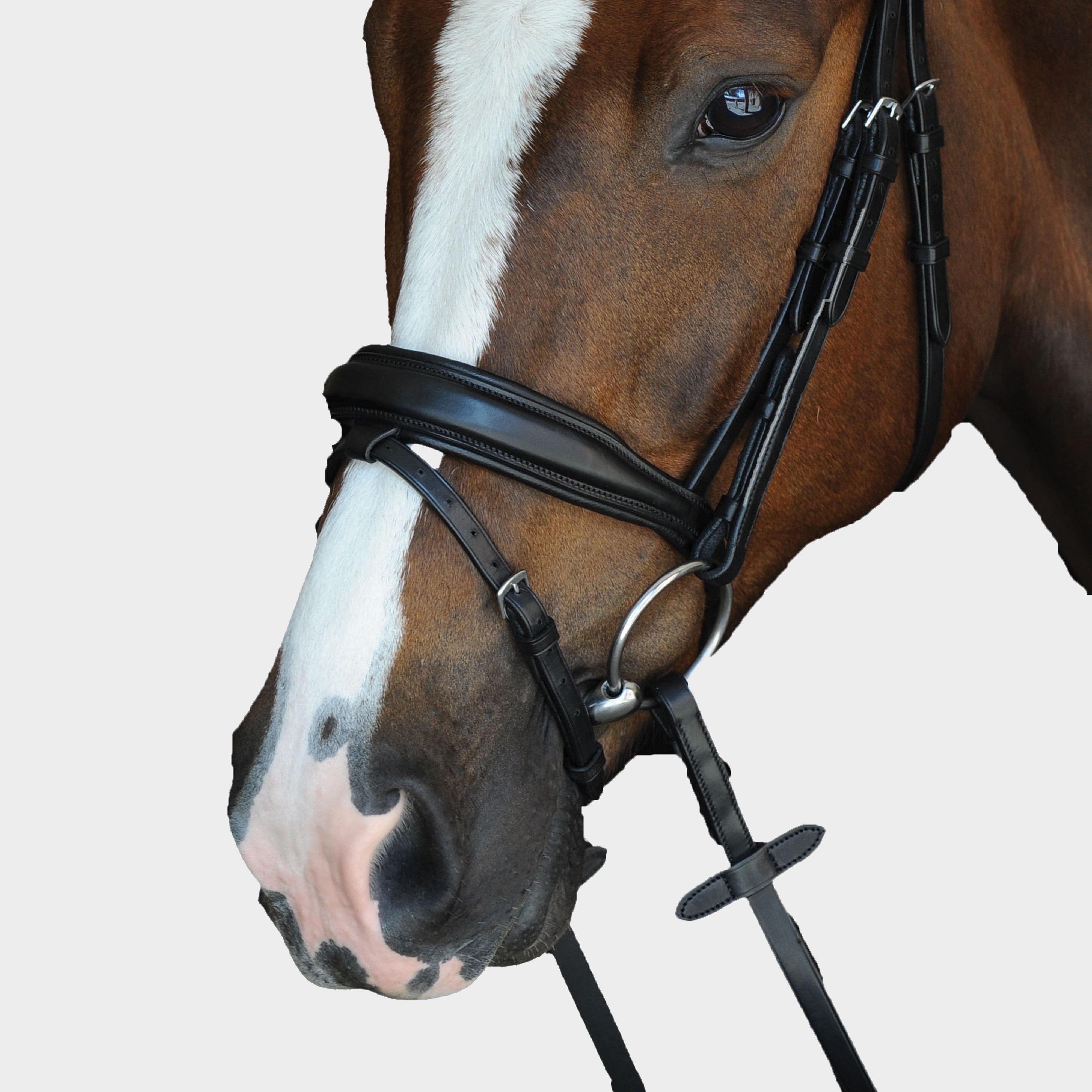 Mono Crown Padded Raised Flash Bridle Black