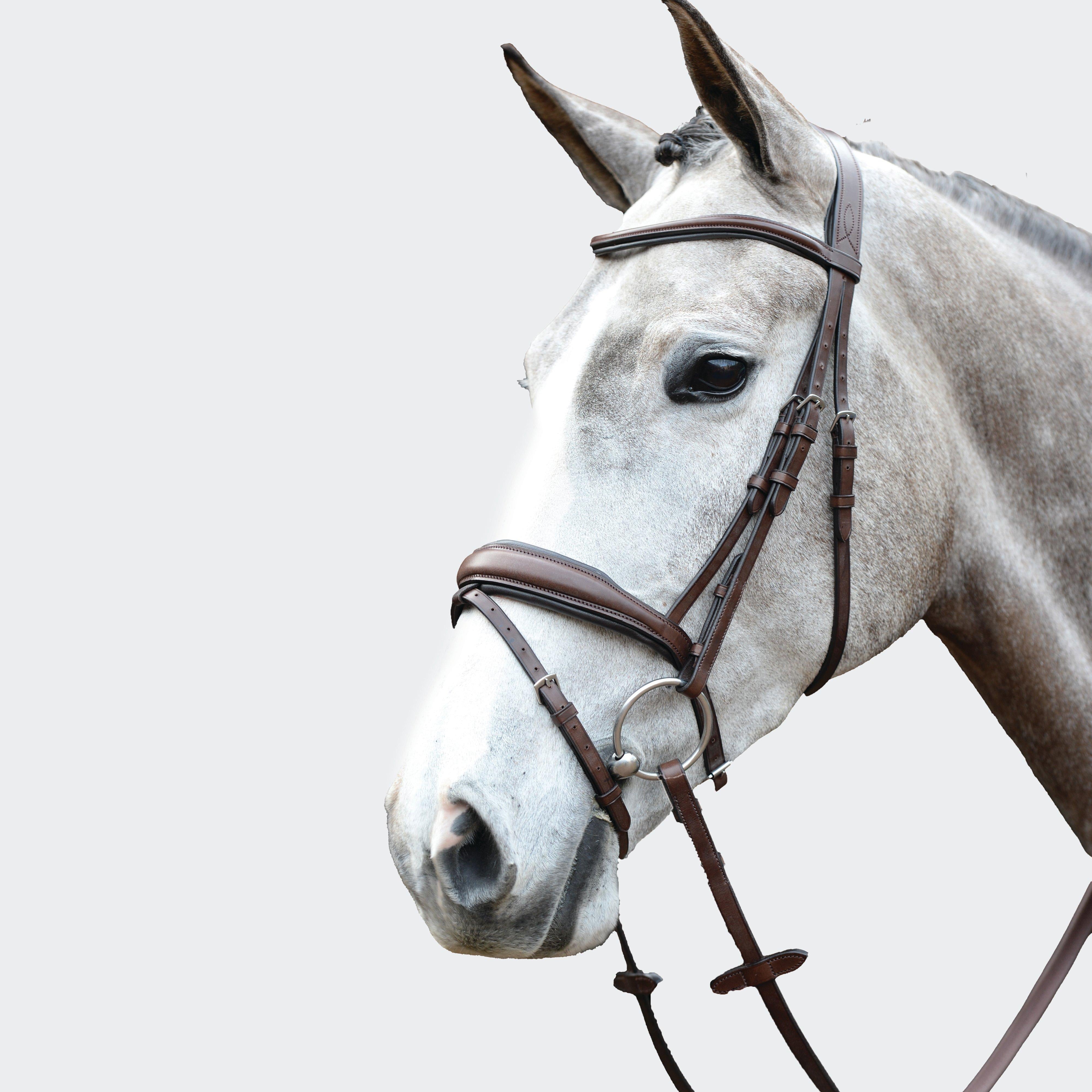 Mono Crown Padded Raised Flash Bridle Brown