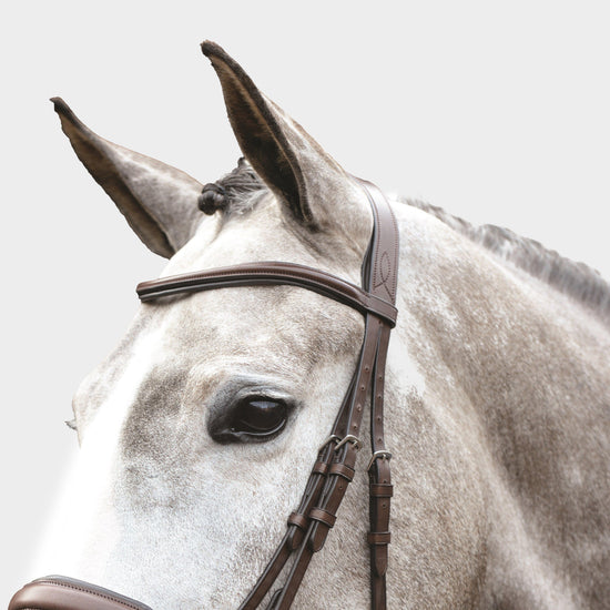 Mono Crown Padded Raised Flash Bridle Brown