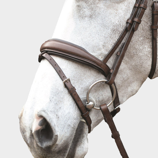Mono Crown Padded Raised Flash Bridle Brown
