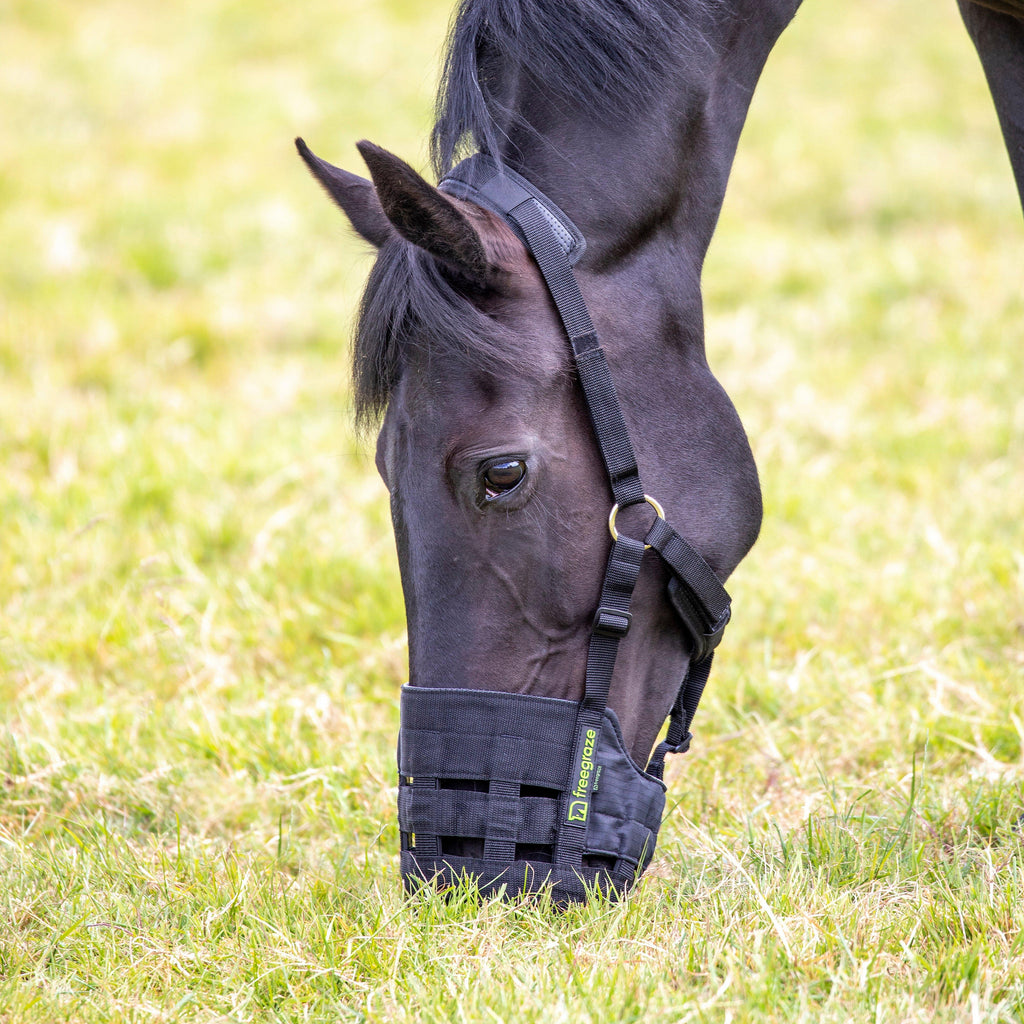Comfort Grazing Muzzle