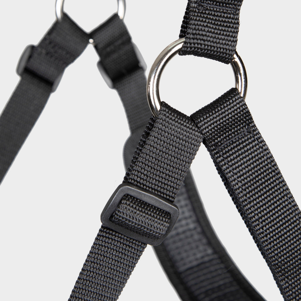 Comfort Grazing Muzzle