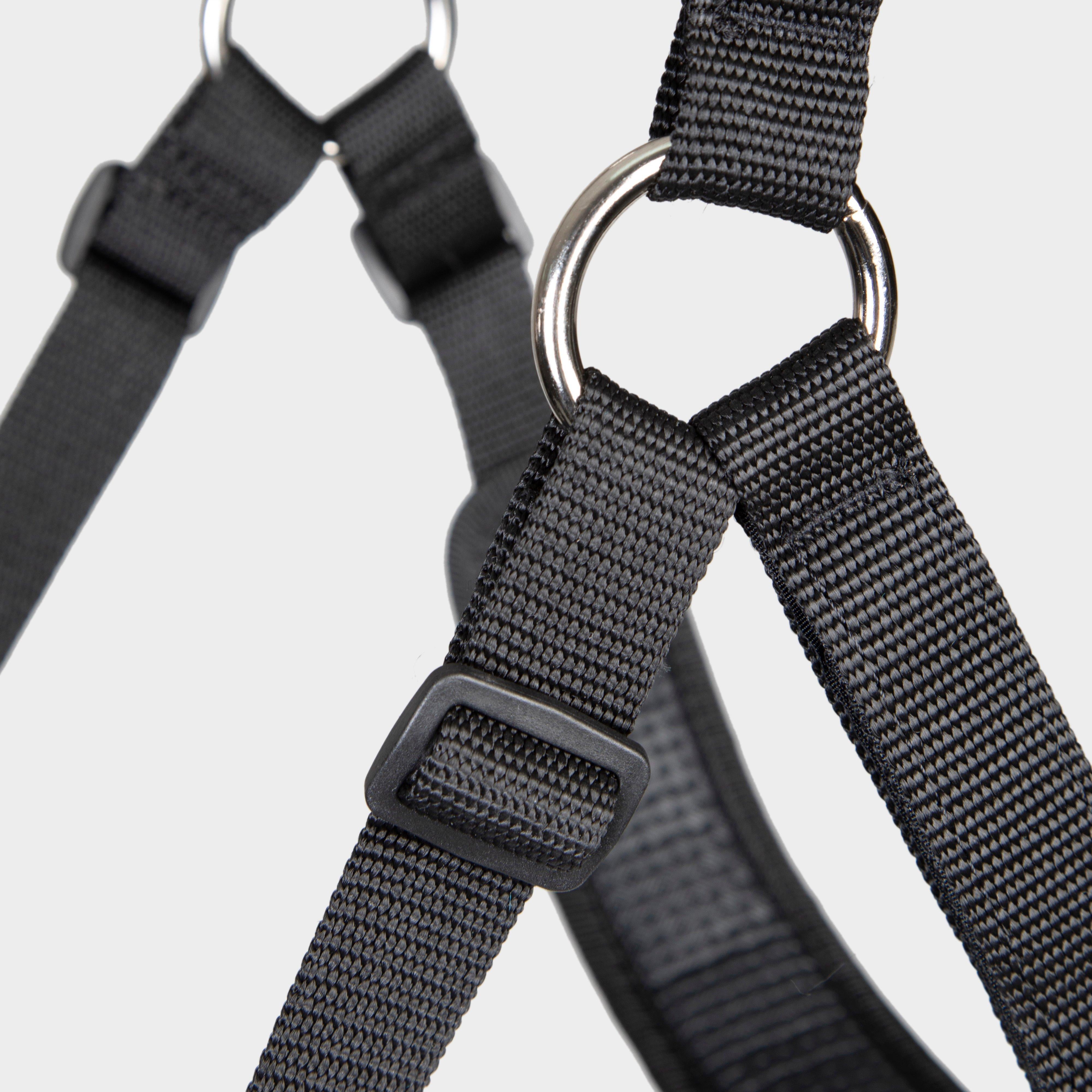 Comfort Grazing Muzzle