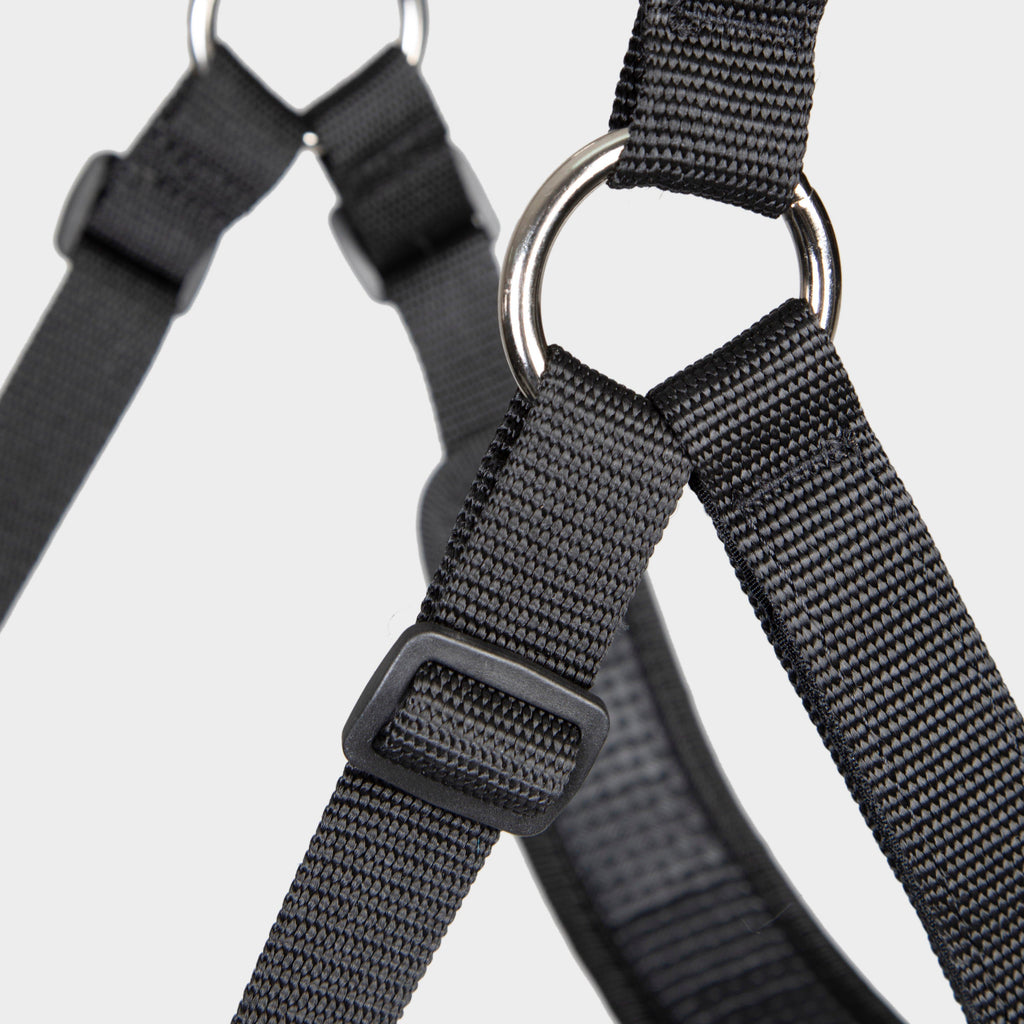 Comfort Grazing Muzzle