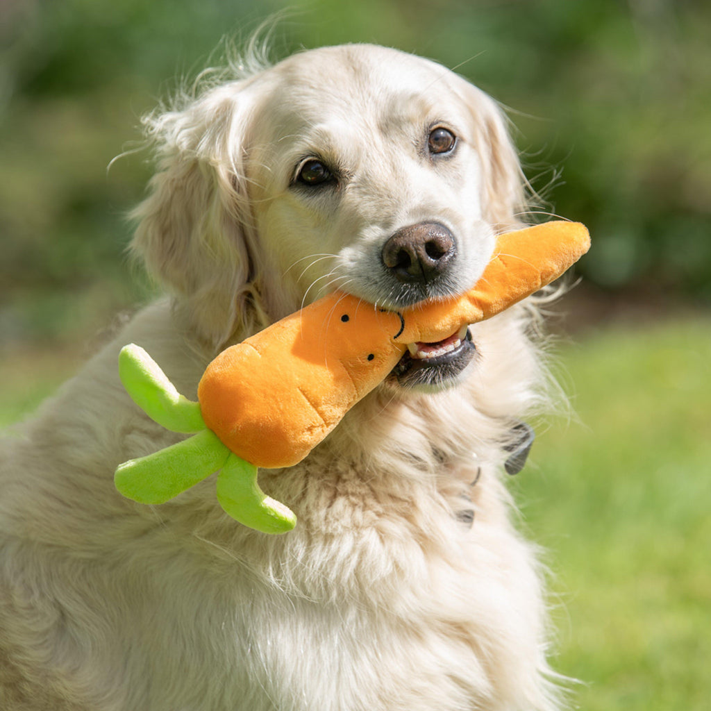 Foodie Faces Furry Carrot