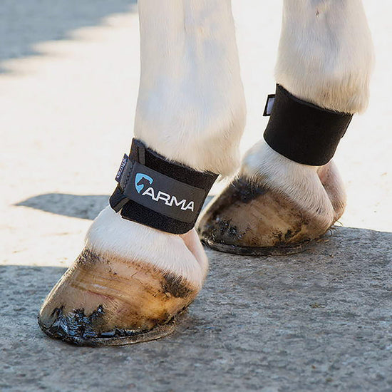 Pastern Wraps in Black