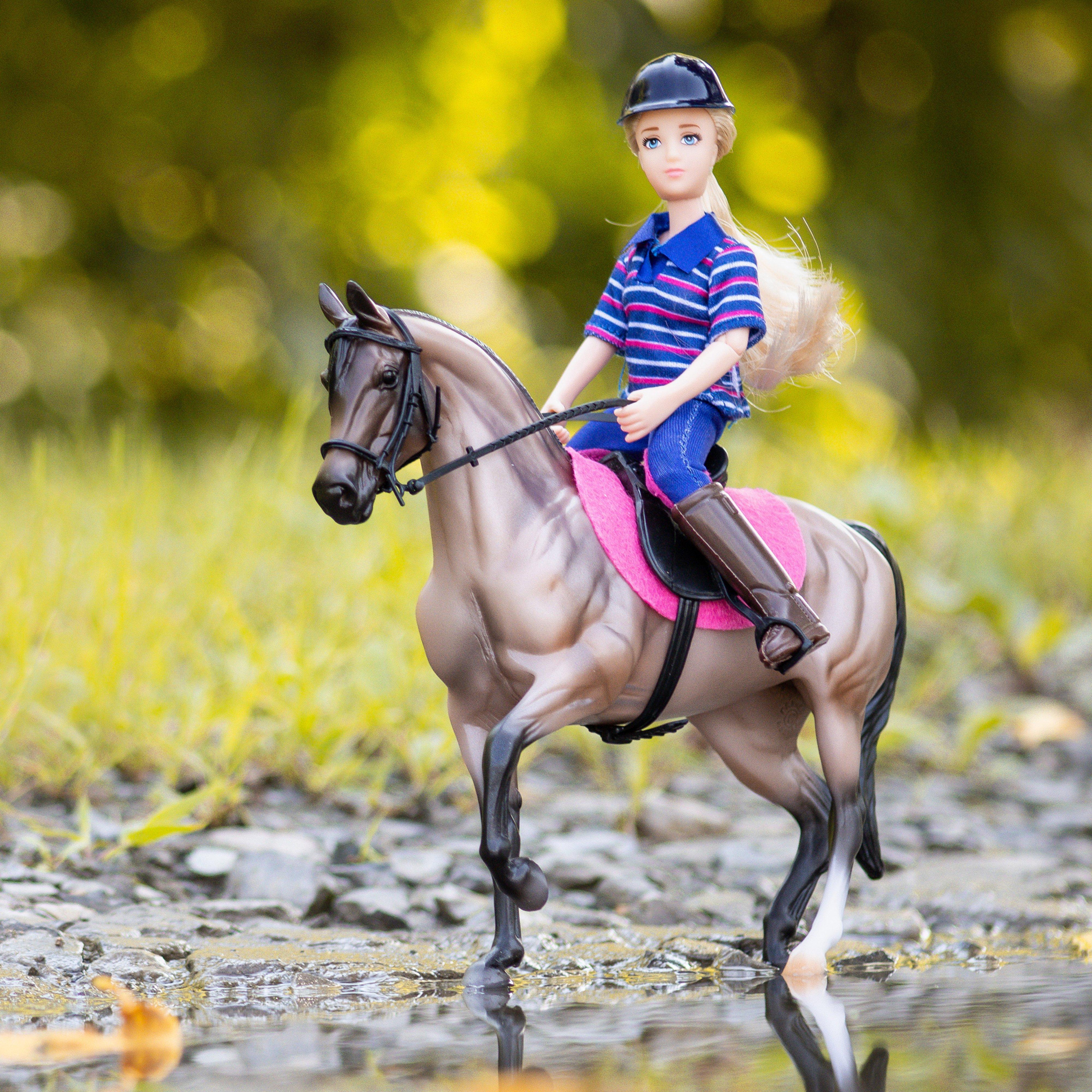 English Horse & Rider
