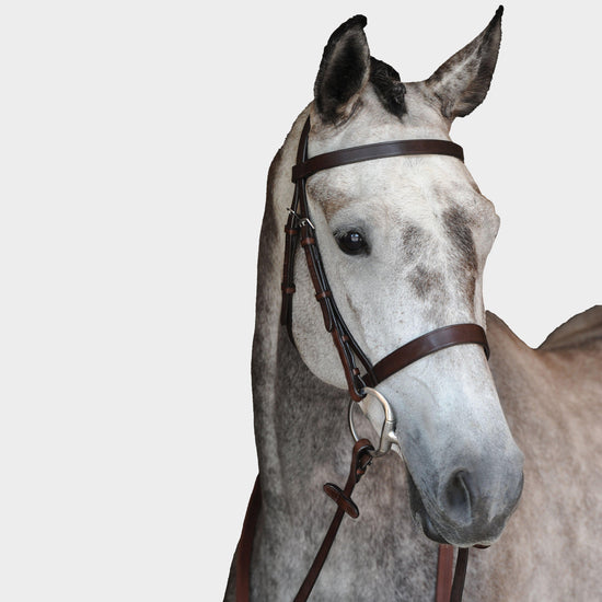 Hunt Cavesson Bridle IV Brown