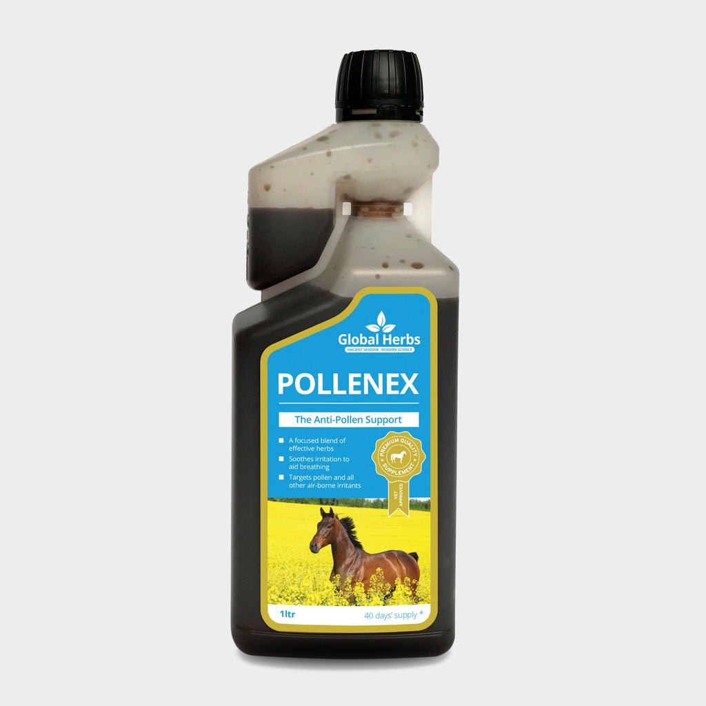Global Herbs Pollenex Syrup