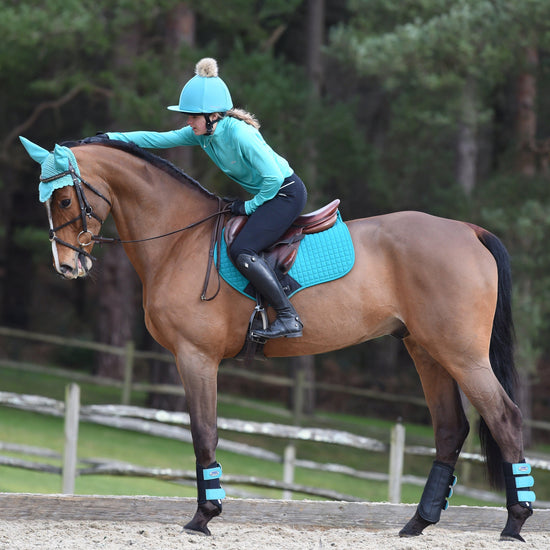 Single Lock Brushing Boots
