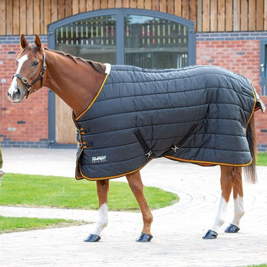Tempest 300g Stable Rug
