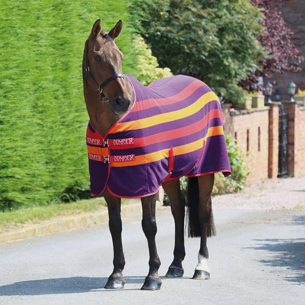Tempest Original Striped Newmarket Fleece Rug