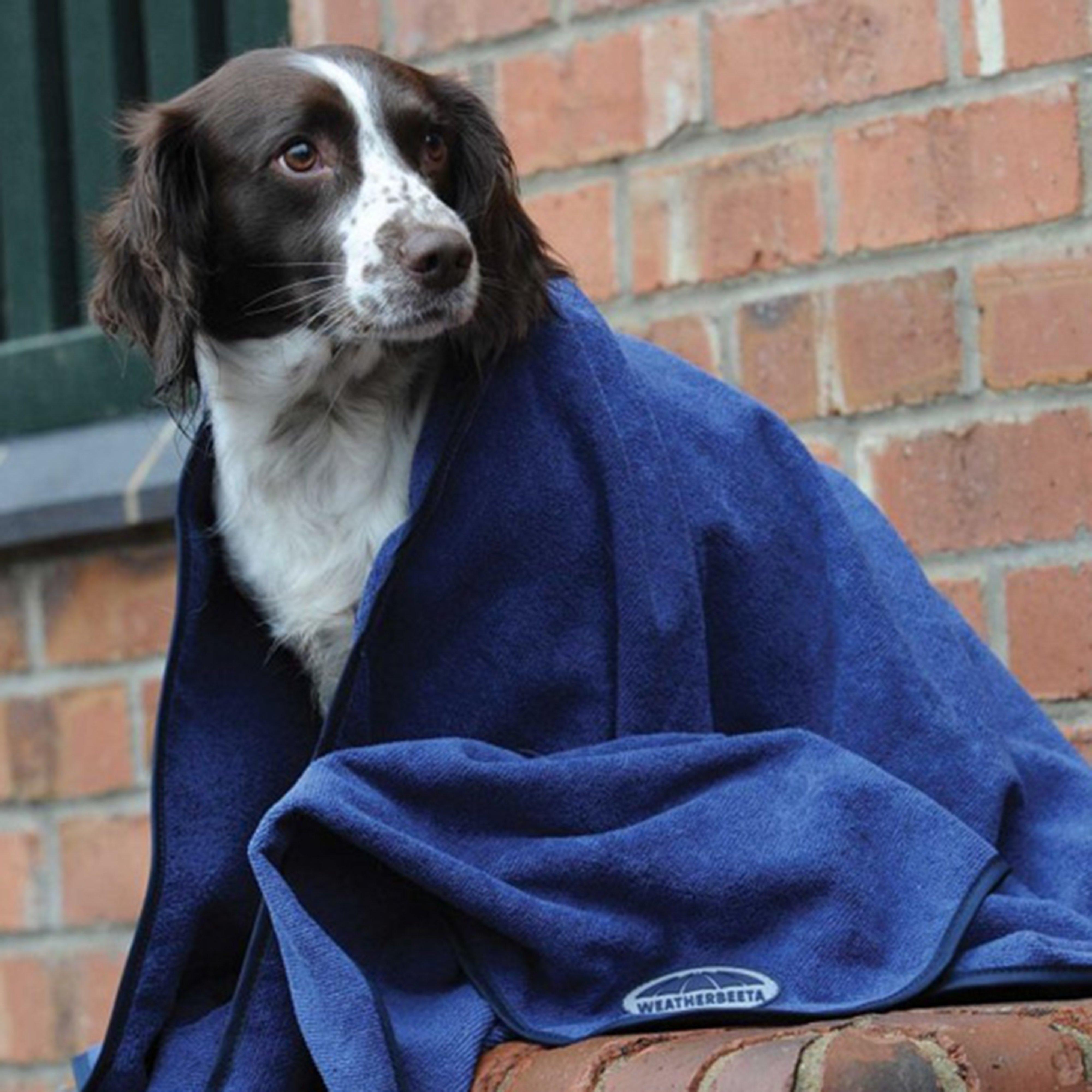 Large Dog Towel Blue