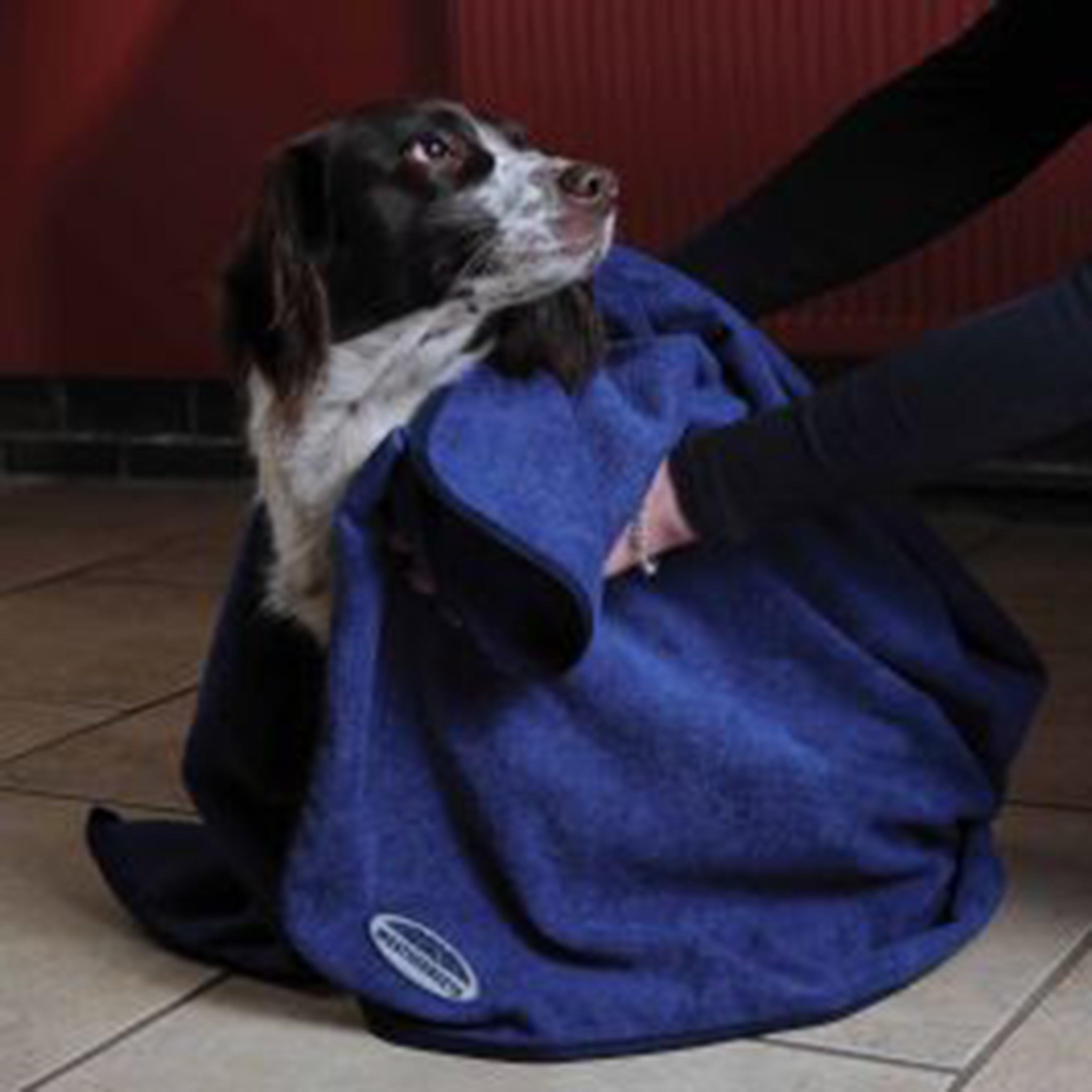 Large Dog Towel Blue