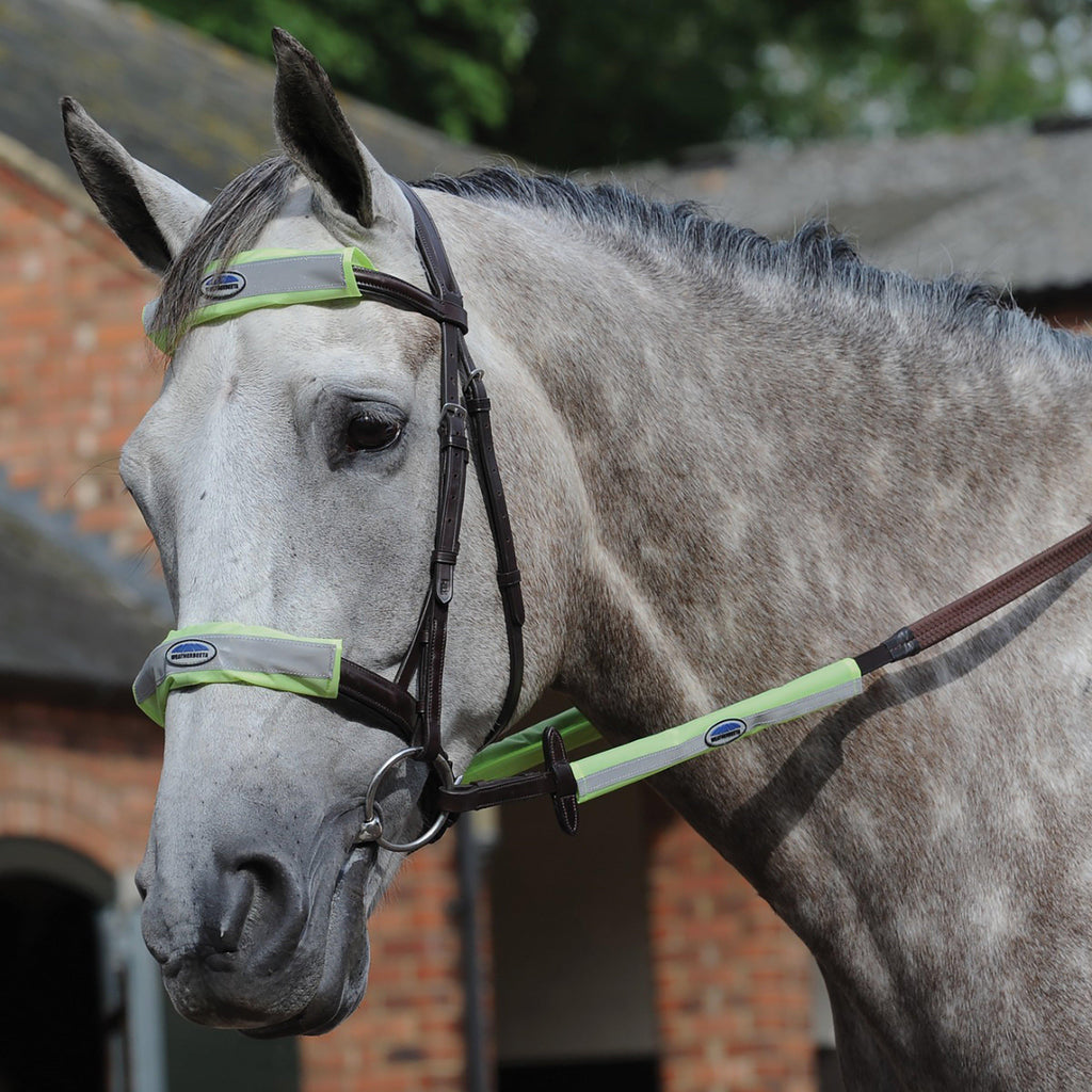 Reflective Bridle Set 4 Piece