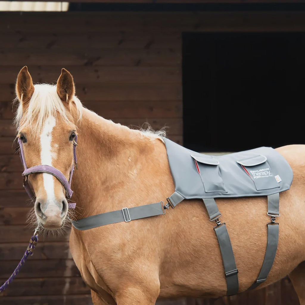 Pony Massage Pad