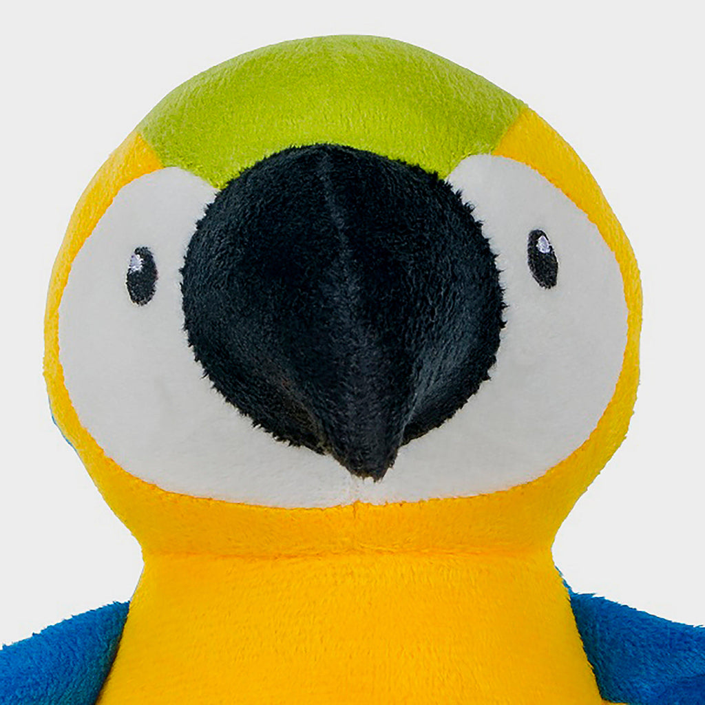 Planet Parrot