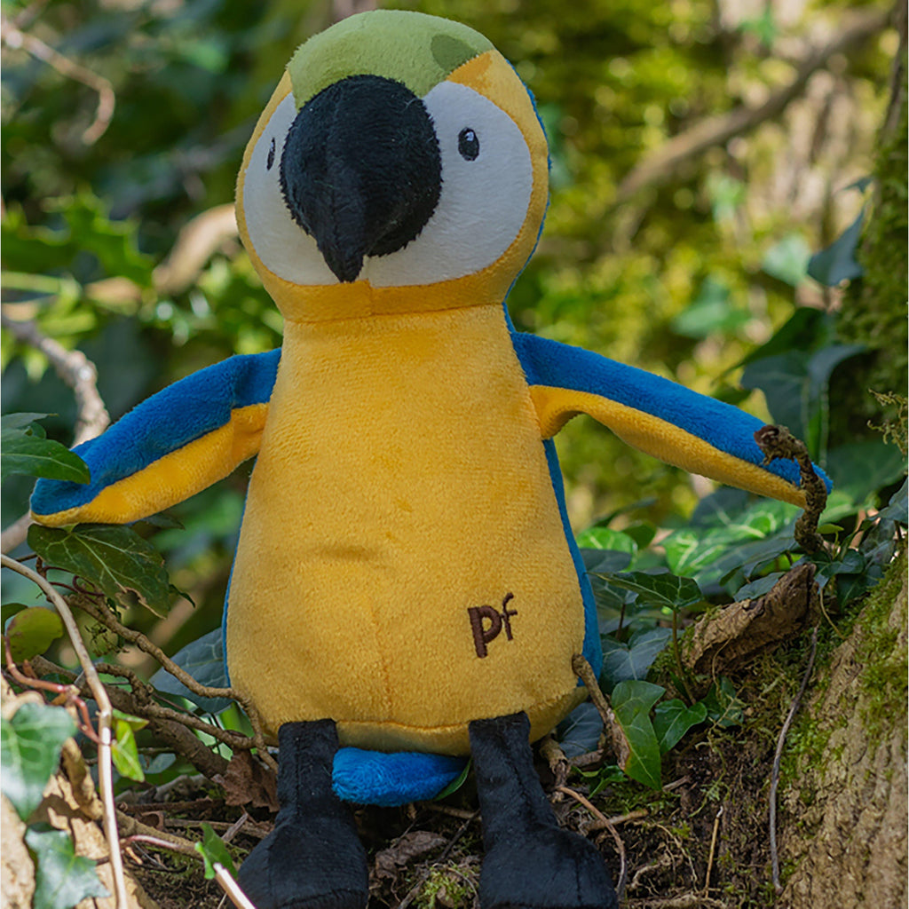 Planet Parrot