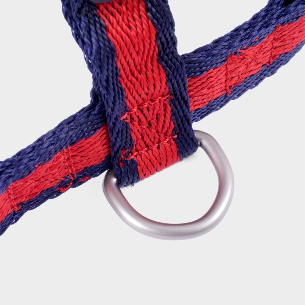 Scarlet Stripe Dog Harness – Large