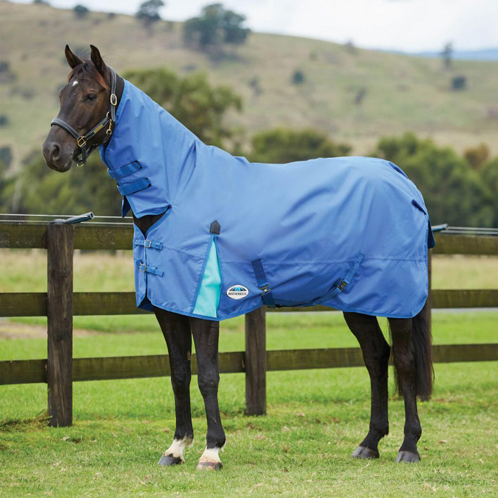ComFiTec Classic Lite Combo Rug