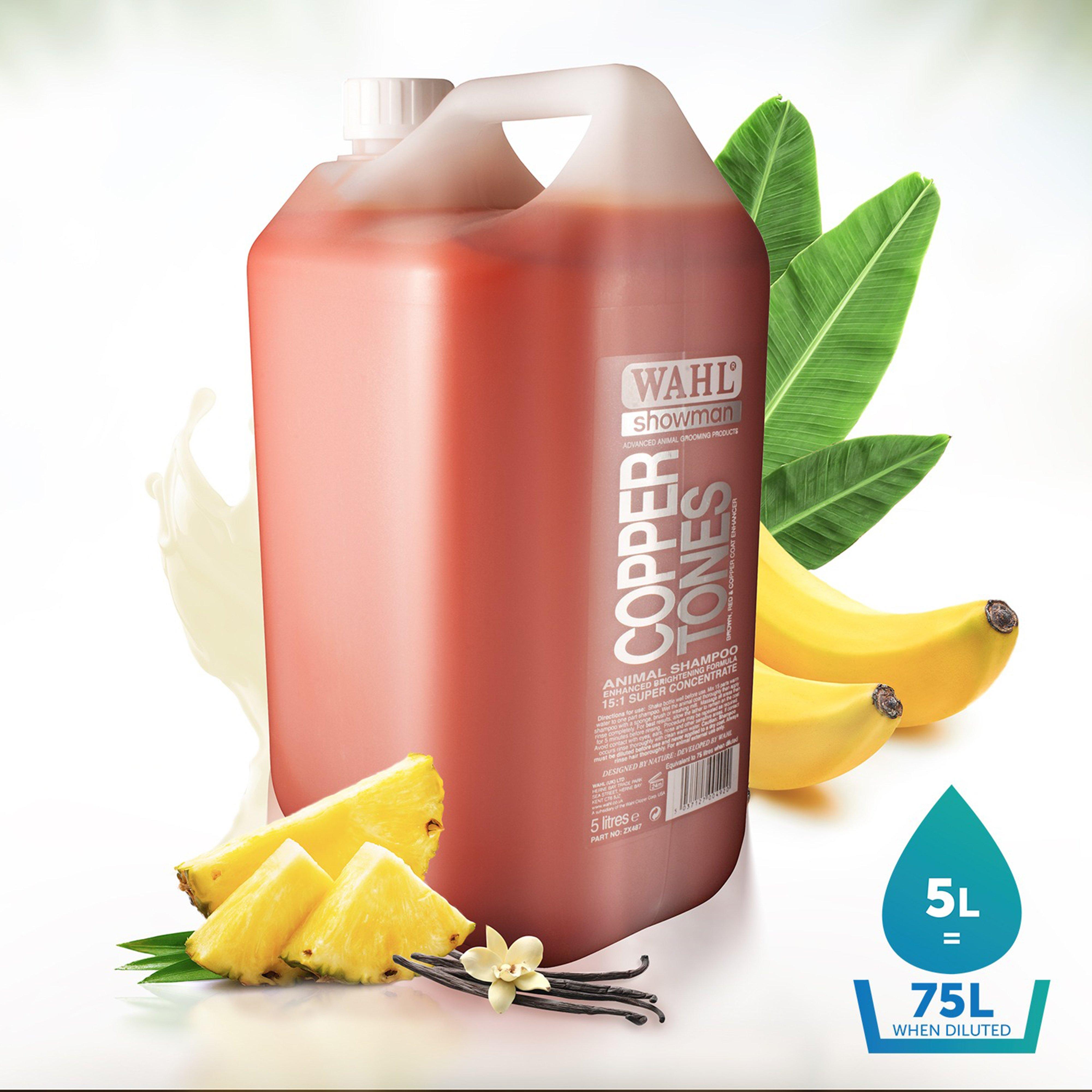 Copper Tones Shampoo