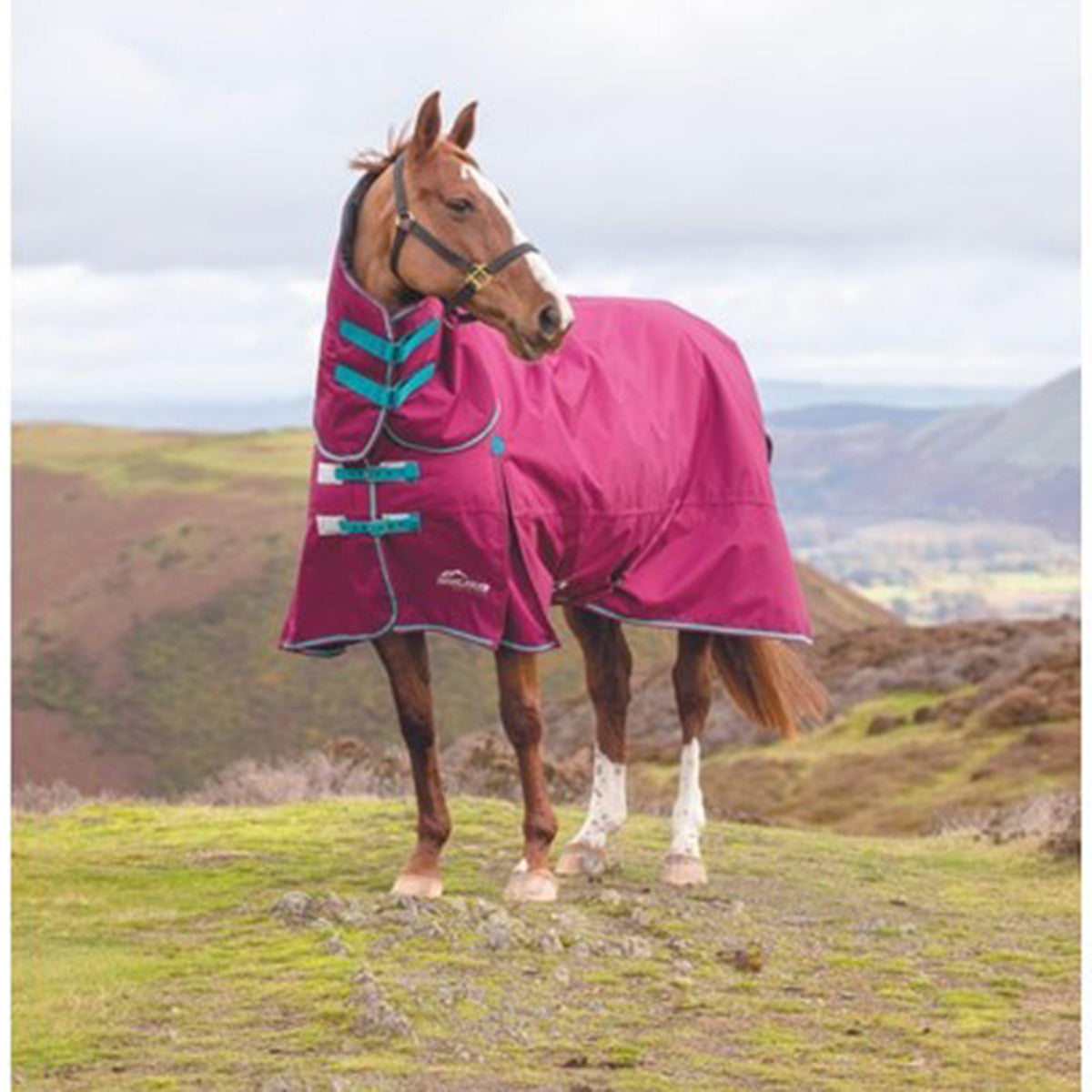 Highlander Original 300g Combo Turnout Rug