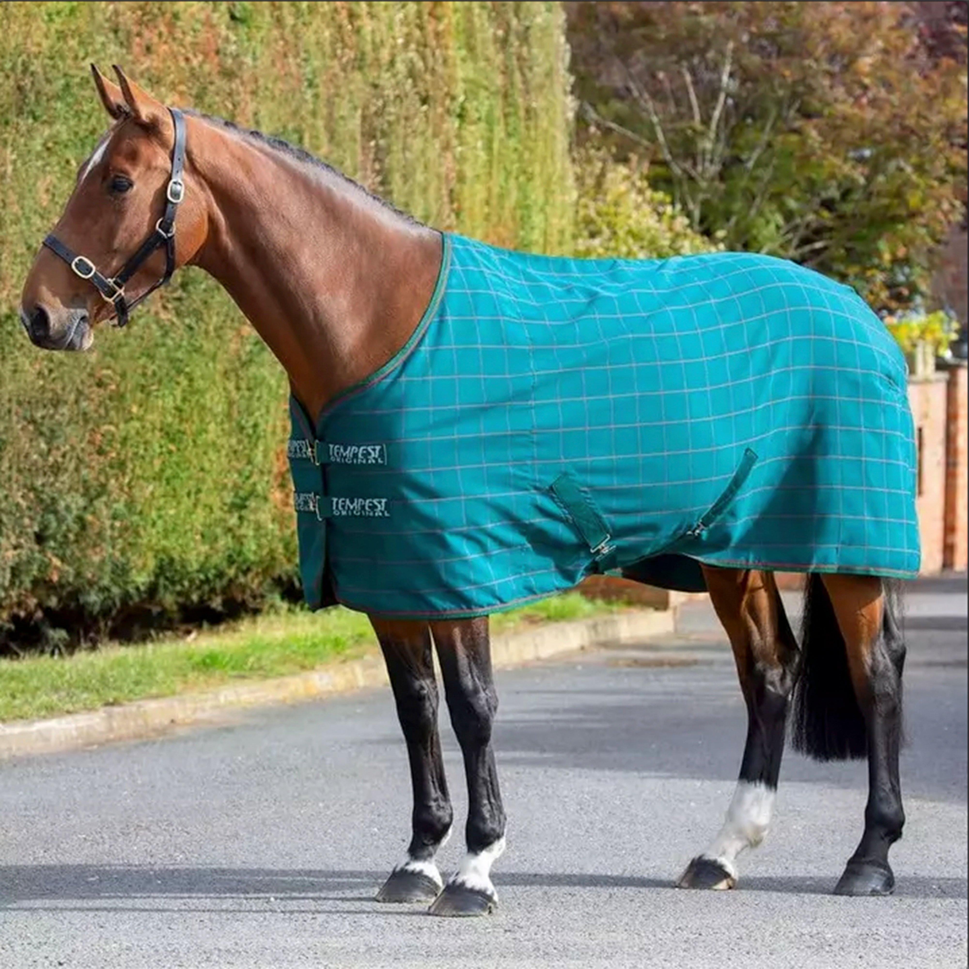Tempest Original Stable Sheet