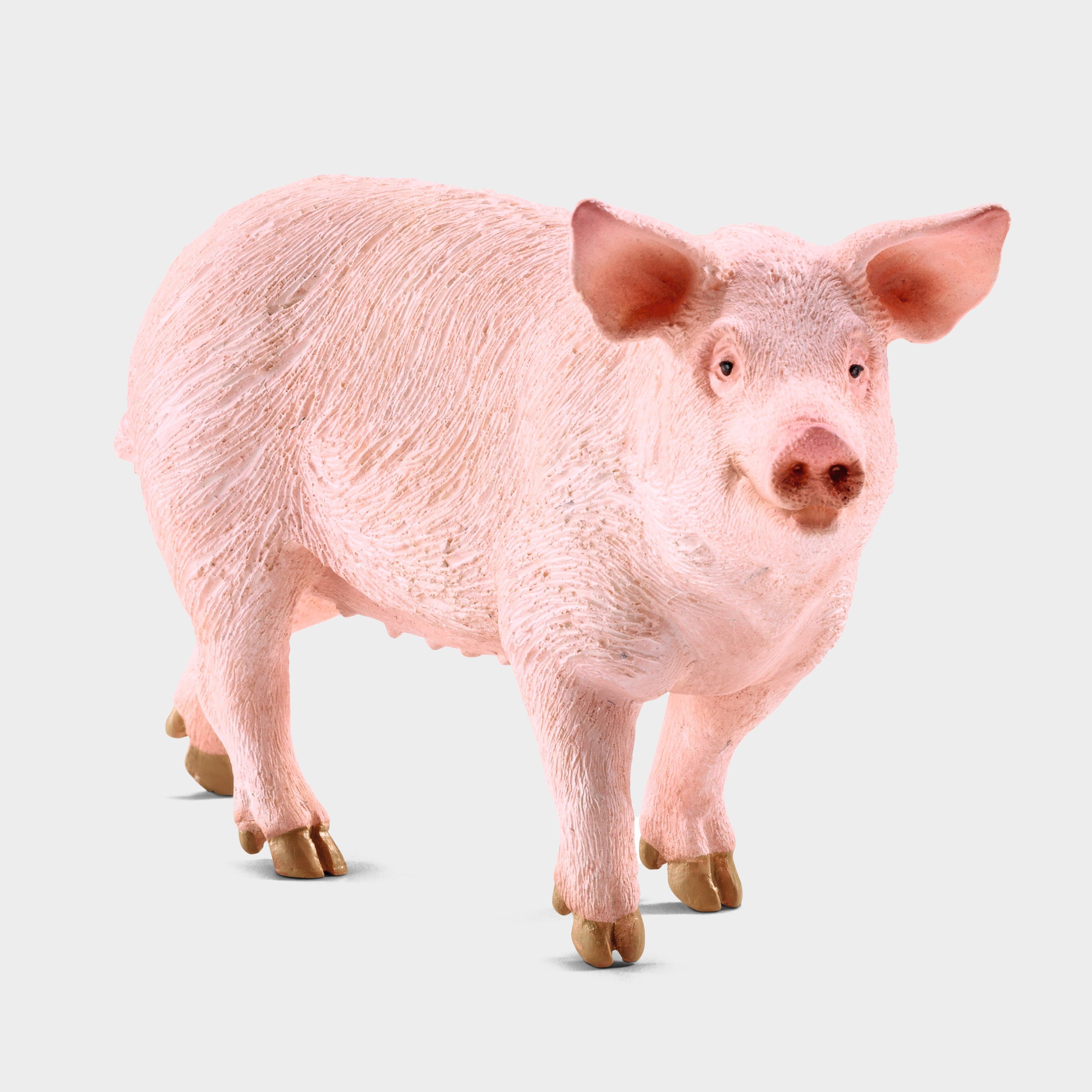 Farm World Pig