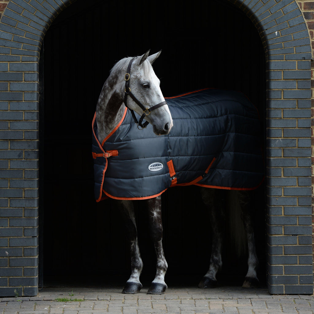 ComFiTec 210D Channel Quilt Standard Neck Medium Stable Rug