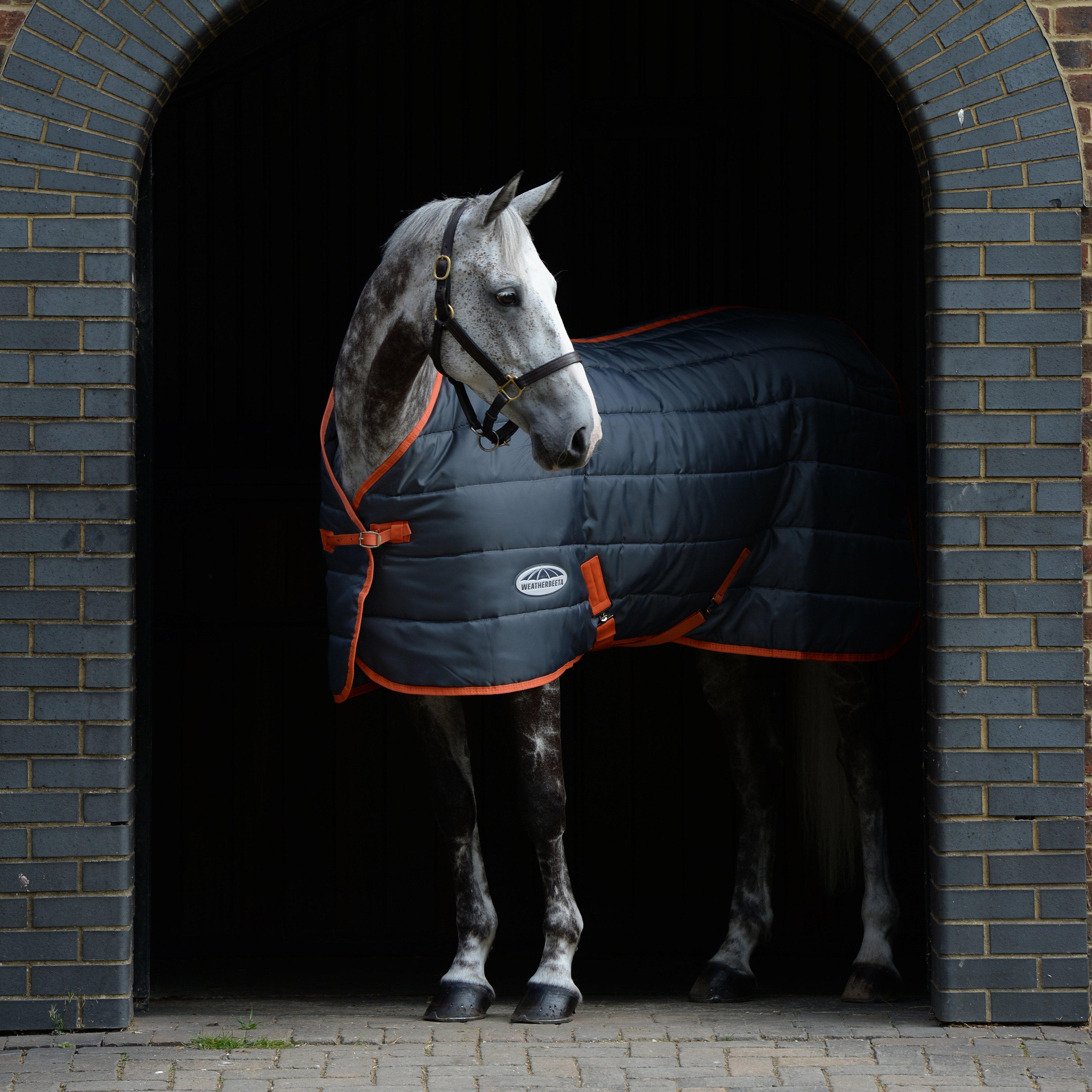 ComFiTec 210D Channel Quilt Standard Neck Medium Stable Rug